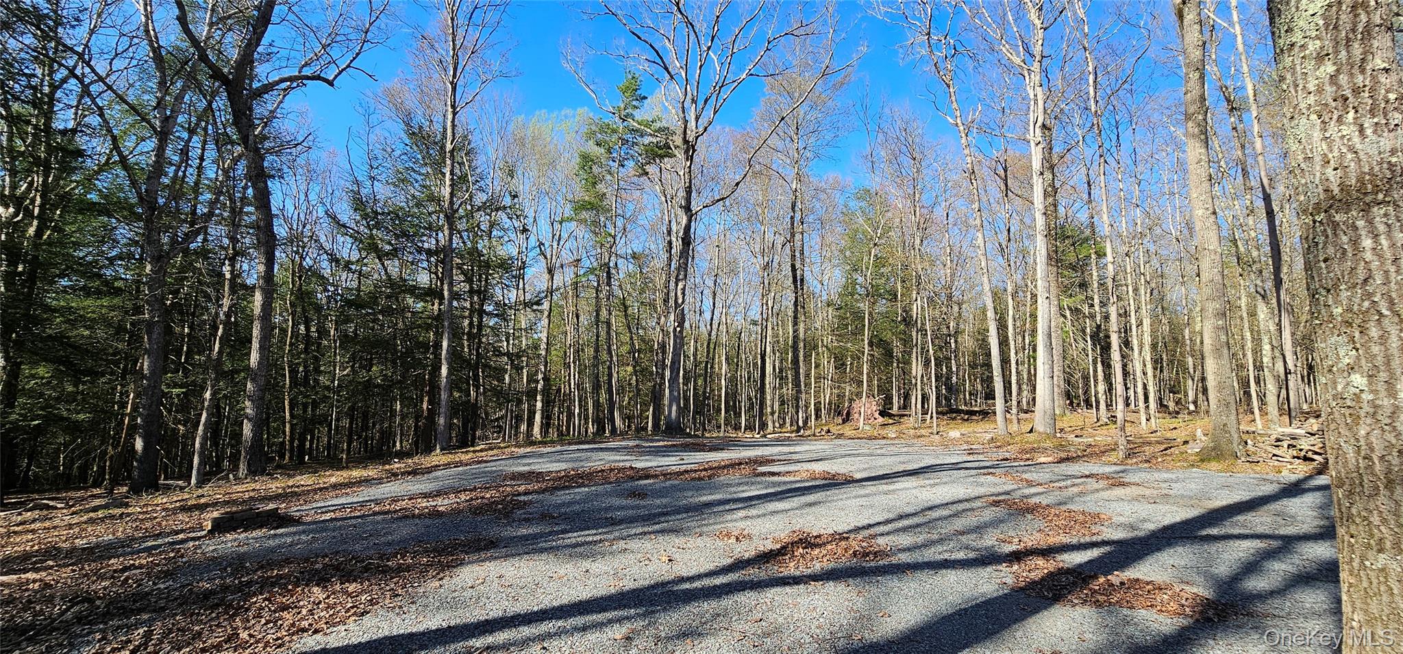 #15 photo, Lot 85 Perry Pond Road, Narrowsburg , NY 12764