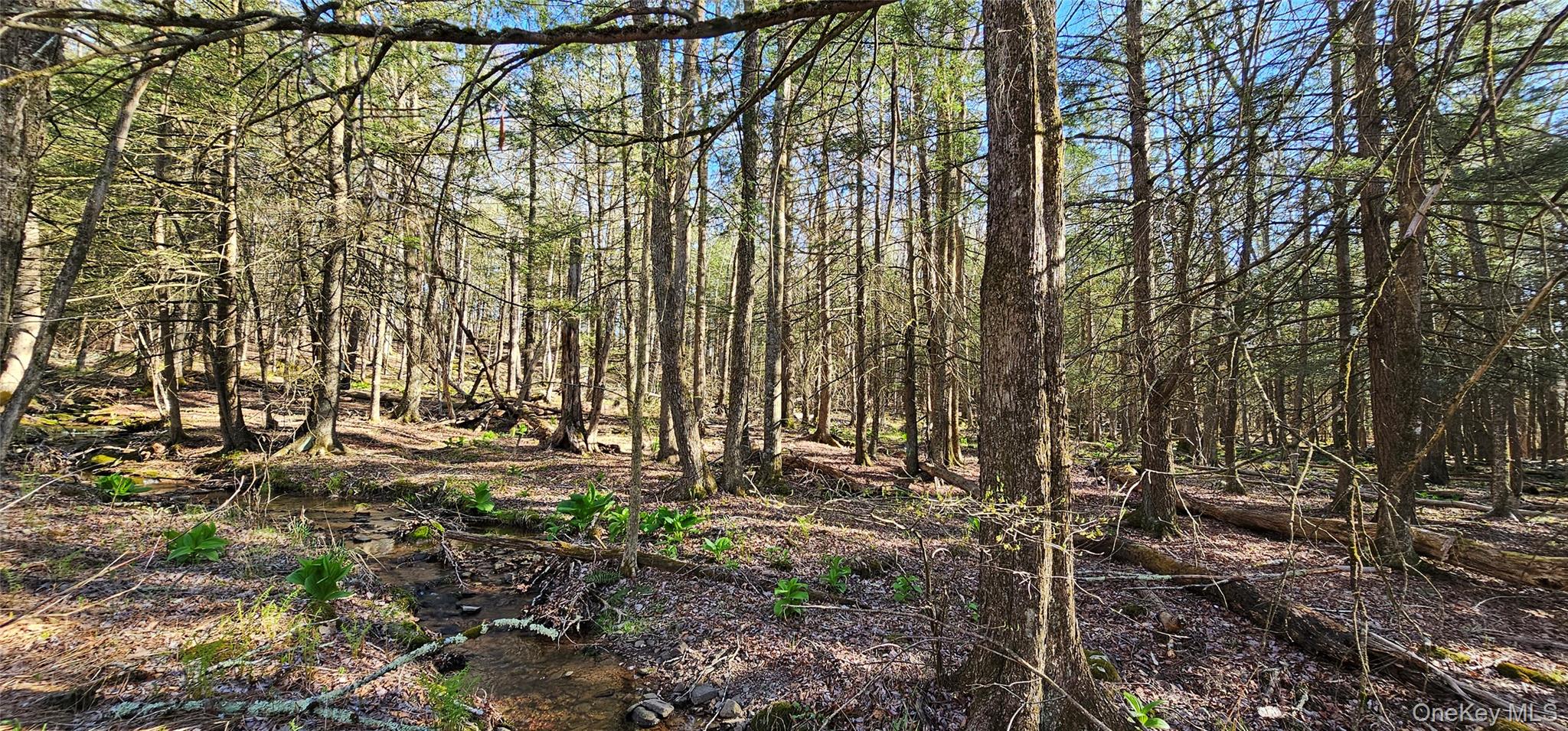 #18 photo, Lot 85 Perry Pond Road, Narrowsburg , NY 12764