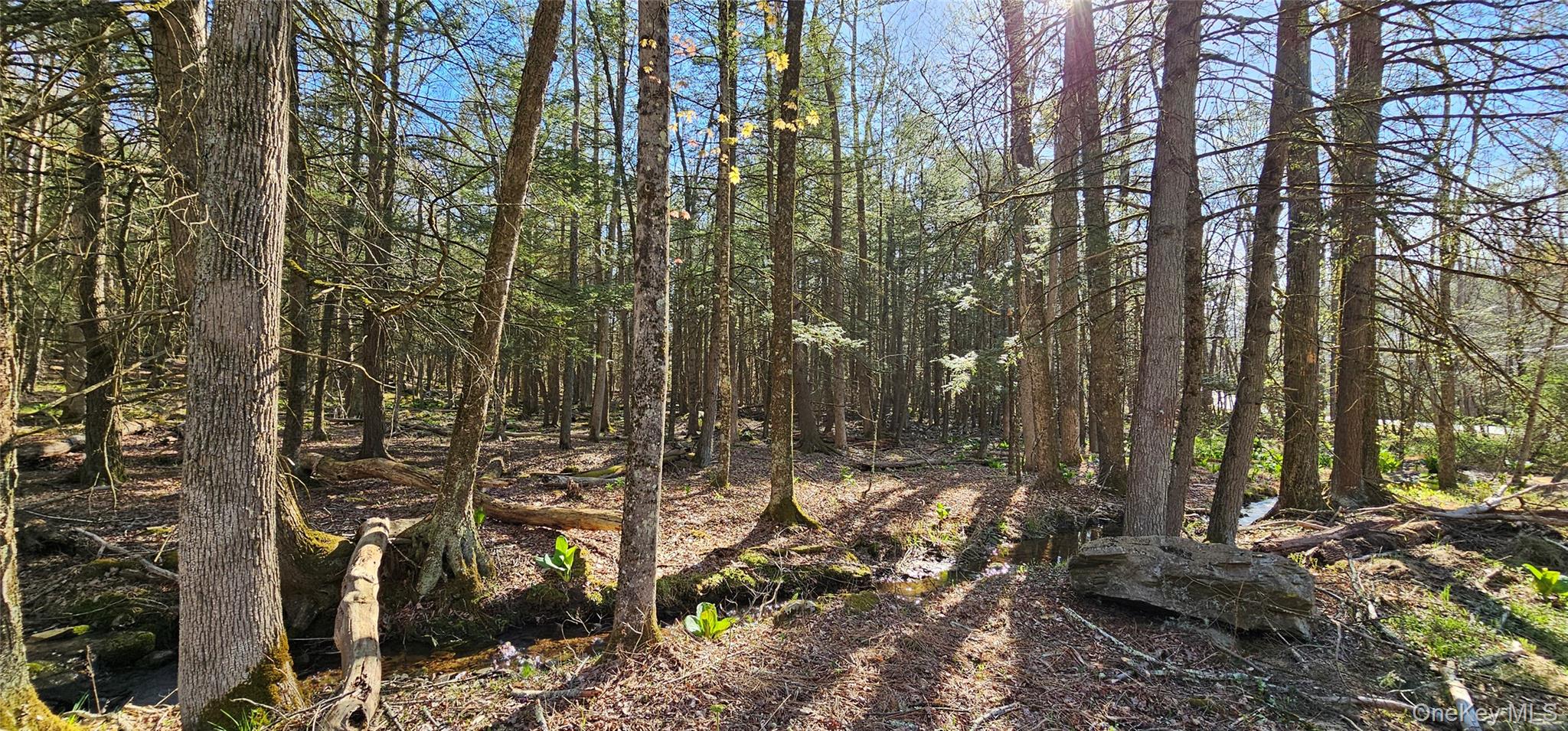 #19 photo, Lot 85 Perry Pond Road, Narrowsburg , NY 12764