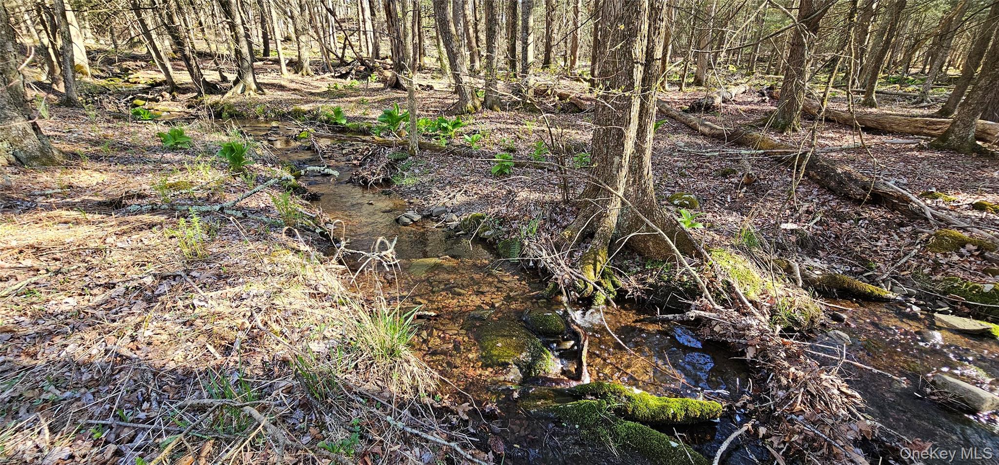 #2 photo, Lot 85 Perry Pond Road, Narrowsburg , NY 12764