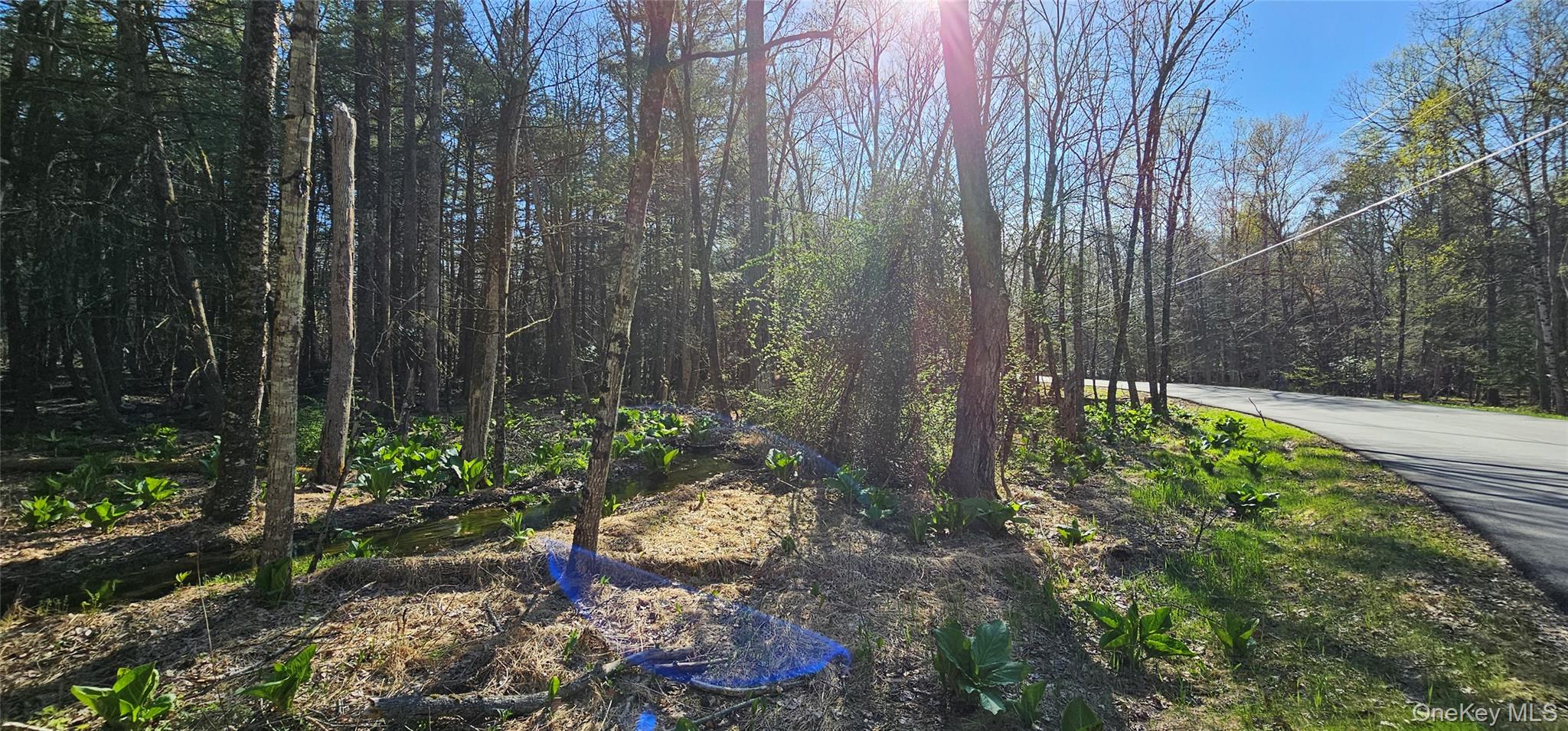 #20 photo, Lot 85 Perry Pond Road, Narrowsburg , NY 12764