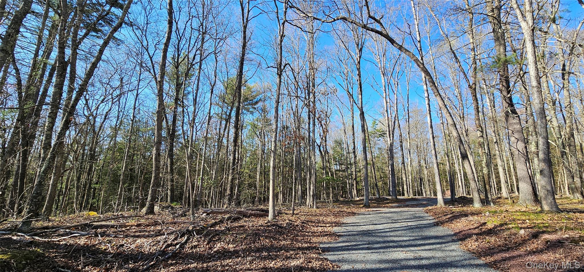 #3 photo, Lot 85 Perry Pond Road, Narrowsburg , NY 12764