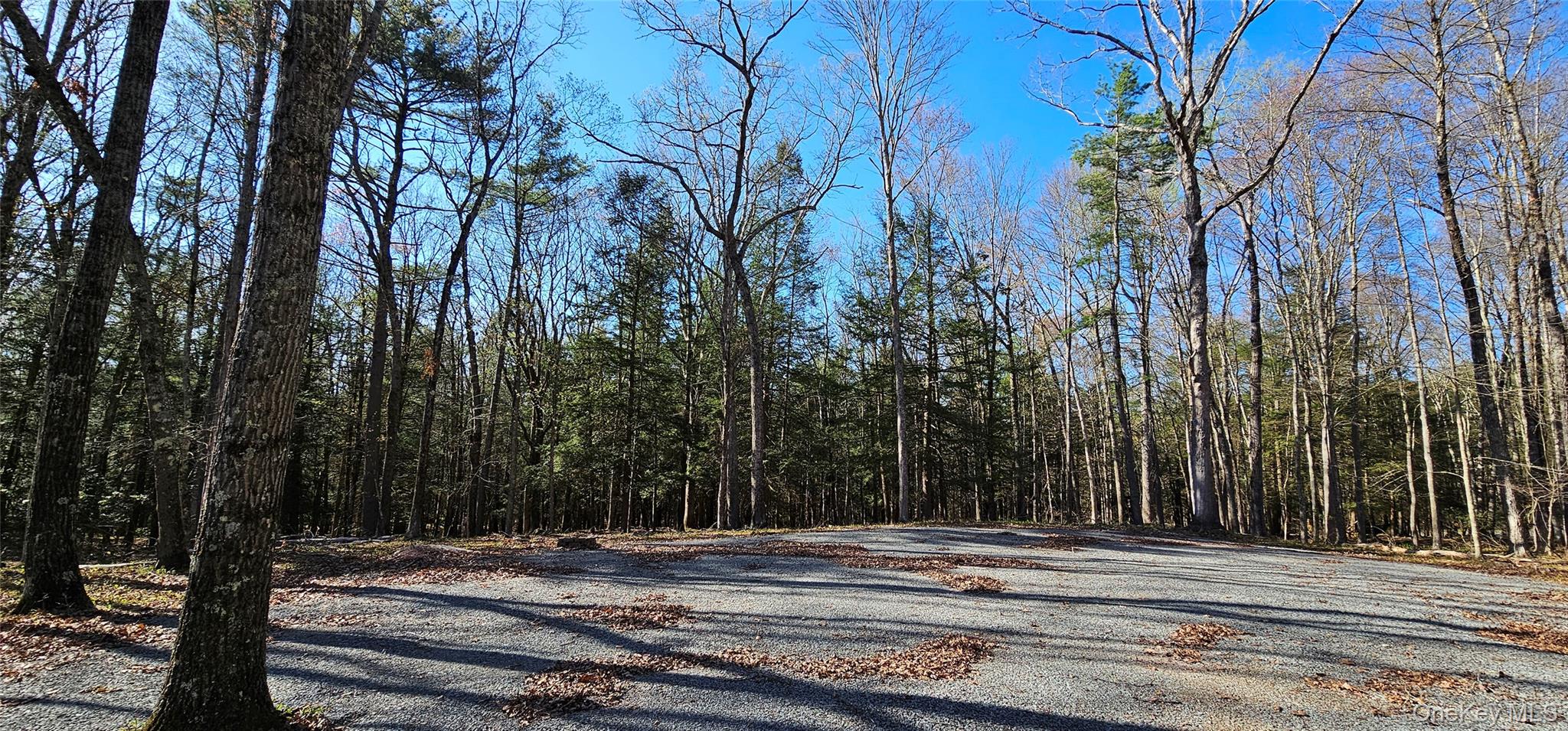 #7 photo, Lot 85 Perry Pond Road, Narrowsburg , NY 12764