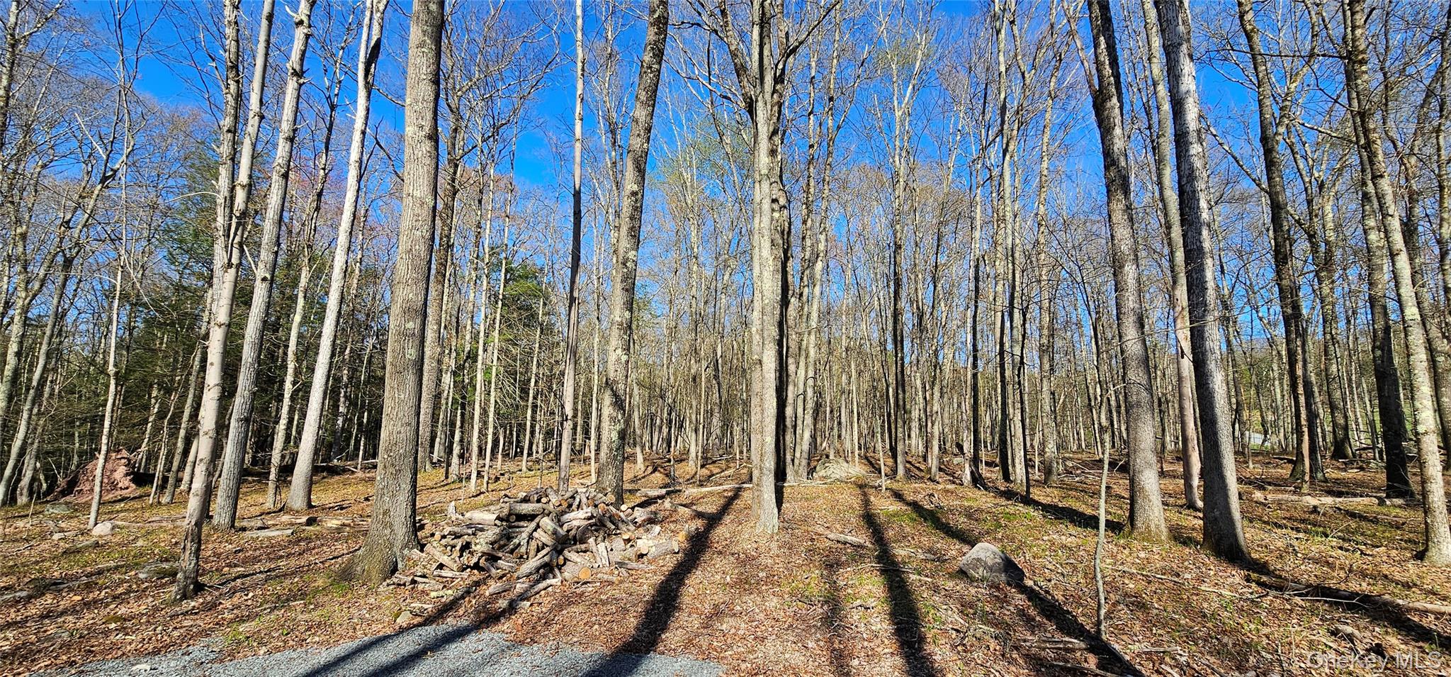 #8 photo, Lot 85 Perry Pond Road, Narrowsburg , NY 12764