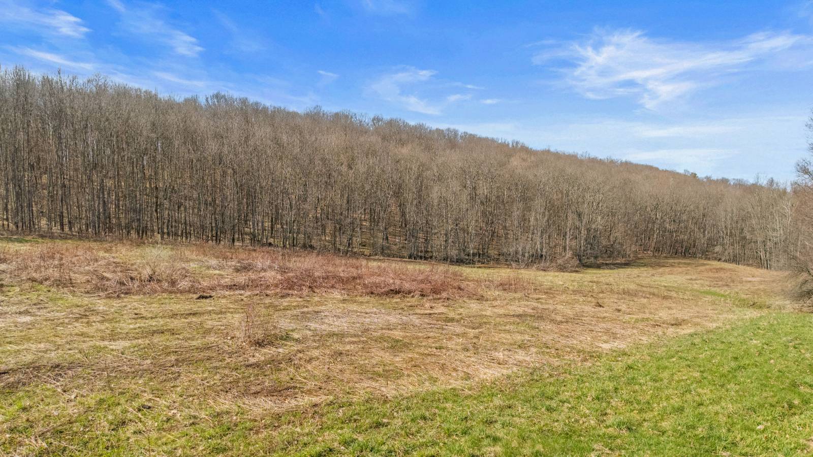 #11 photo, L9.111 Lutheranville Rd, Summit , NY 12175