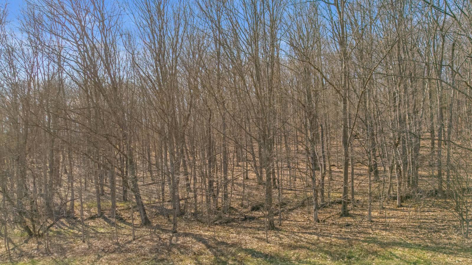 #13 photo, L9.111 Lutheranville Rd, Summit , NY 12175