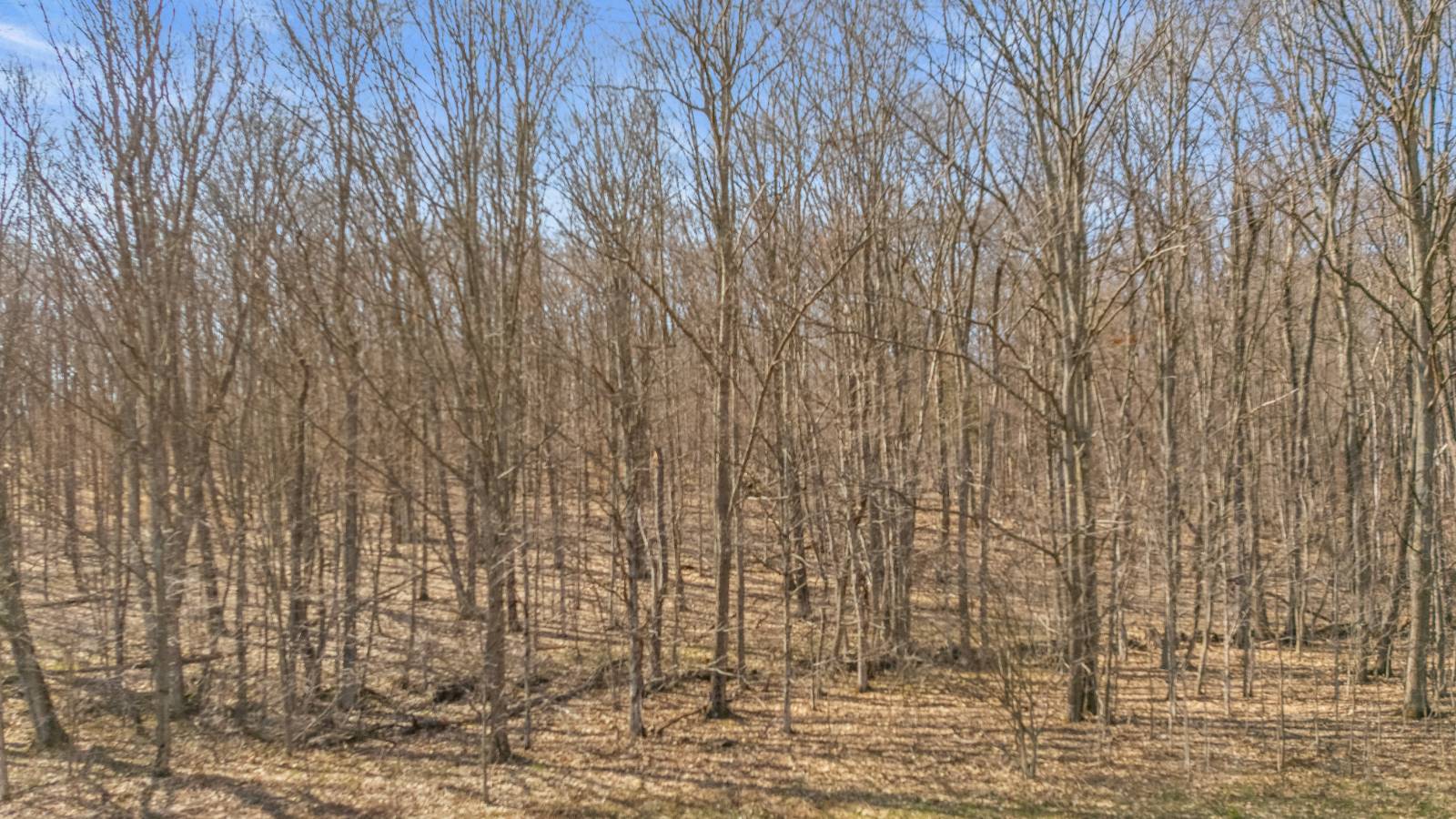 #15 photo, L9.111 Lutheranville Rd, Summit , NY 12175