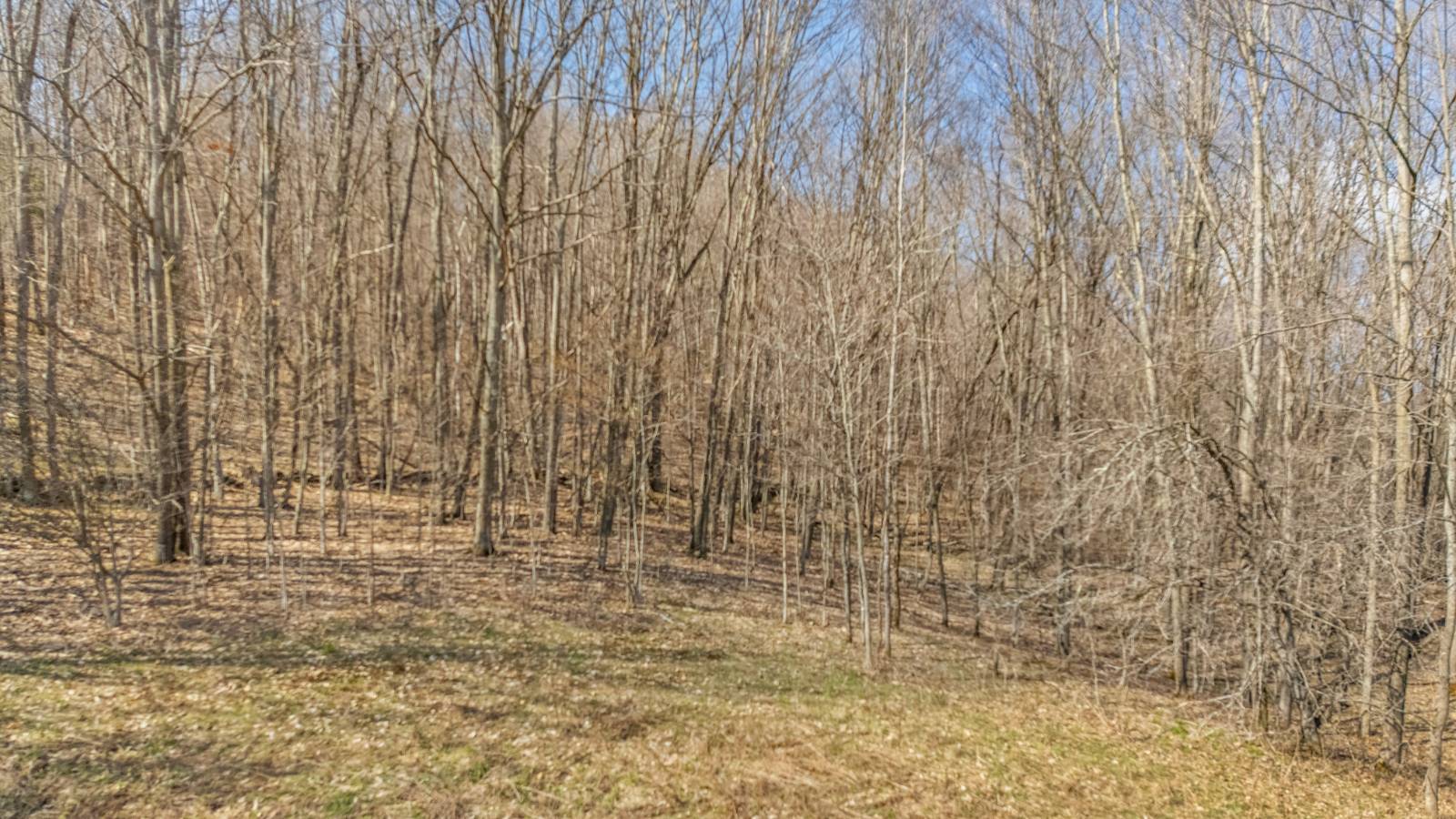 #16 photo, L9.111 Lutheranville Rd, Summit , NY 12175