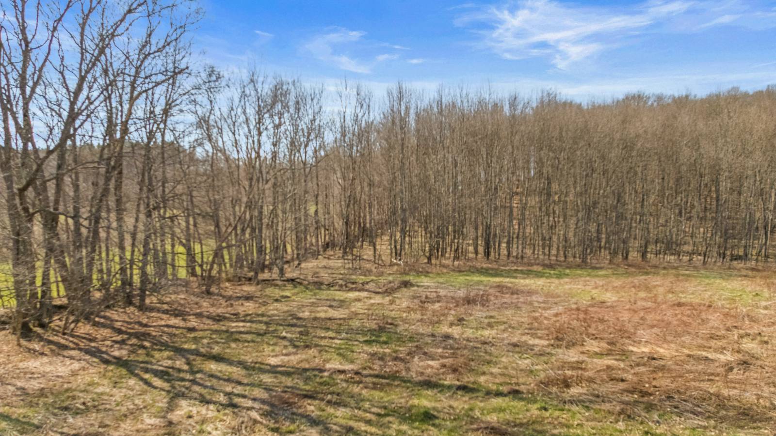 #19 photo, L9.111 Lutheranville Rd, Summit , NY 12175