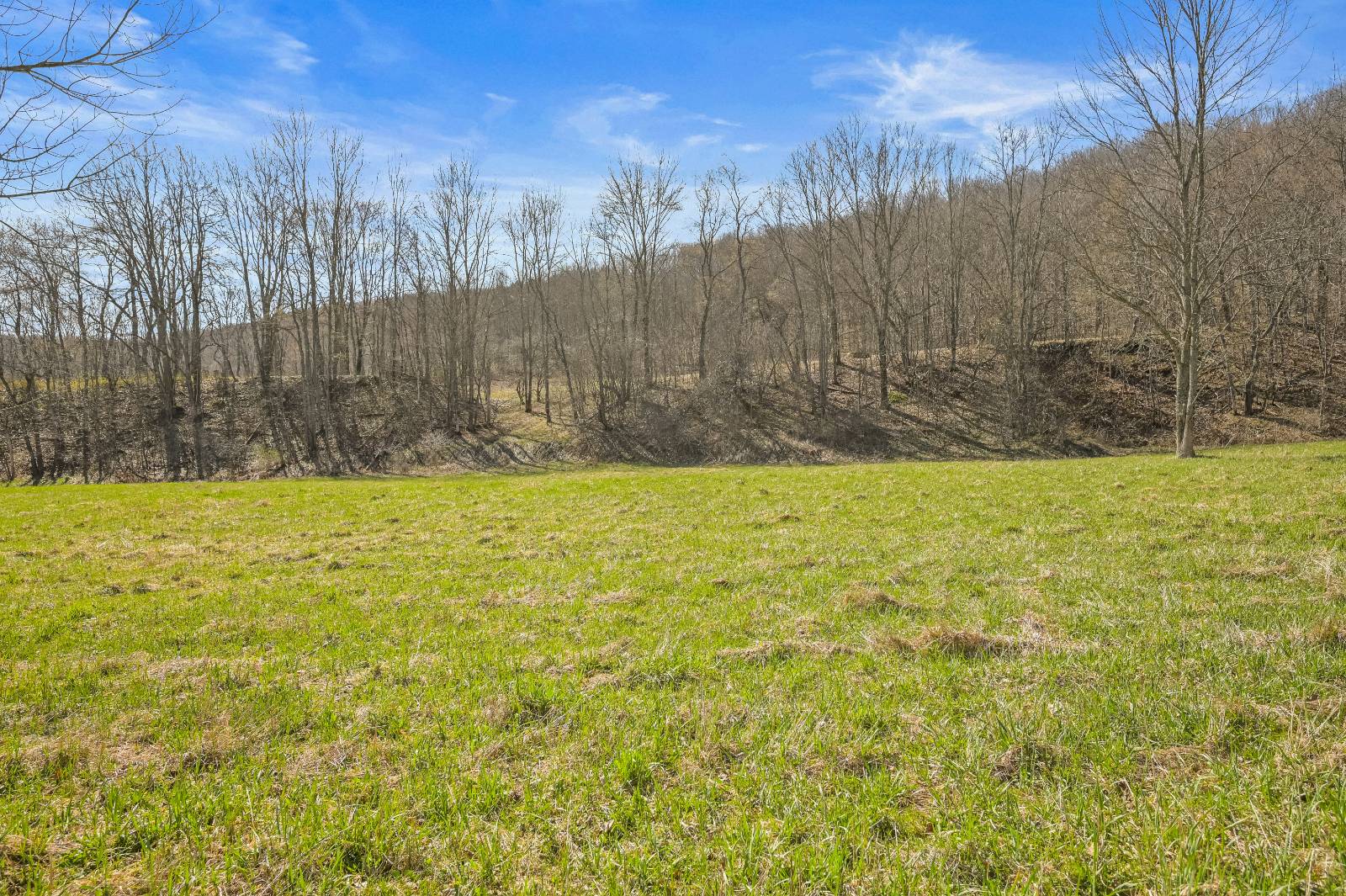 #20 photo, L9.111 Lutheranville Rd, Summit , NY 12175