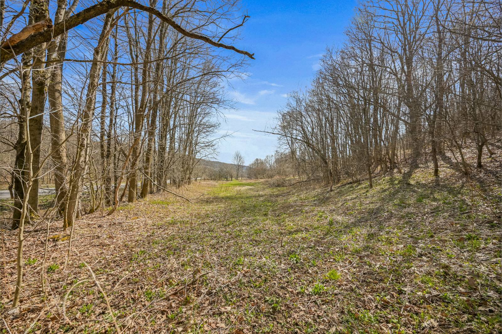 #21 photo, L9.111 Lutheranville Rd, Summit , NY 12175