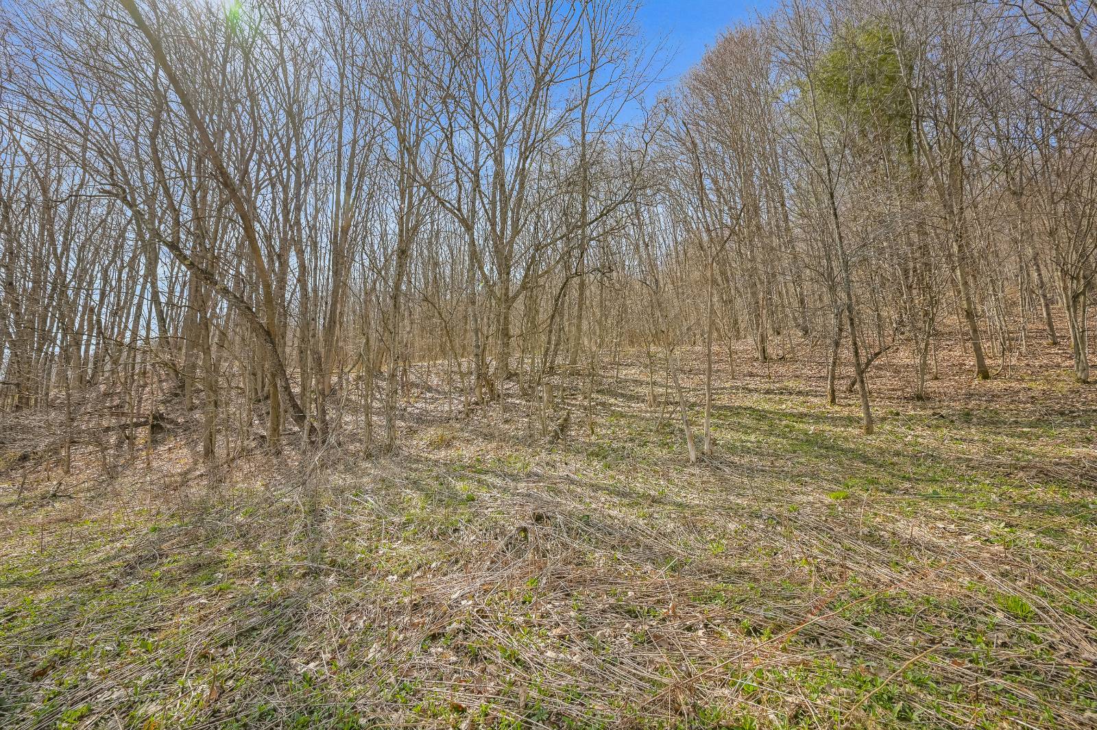 #23 photo, L9.111 Lutheranville Rd, Summit , NY 12175