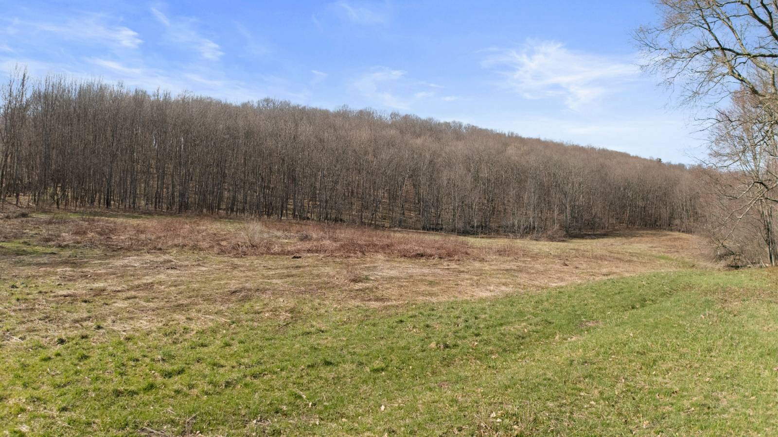 #7 photo, L9.111 Lutheranville Rd, Summit , NY 12175