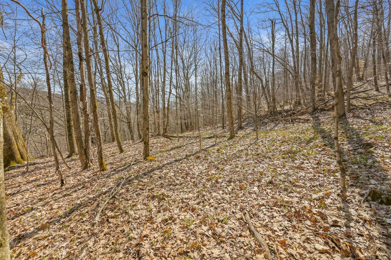 #10 photo, L9.113 Lutheranville Rd, Summit , NY 12175