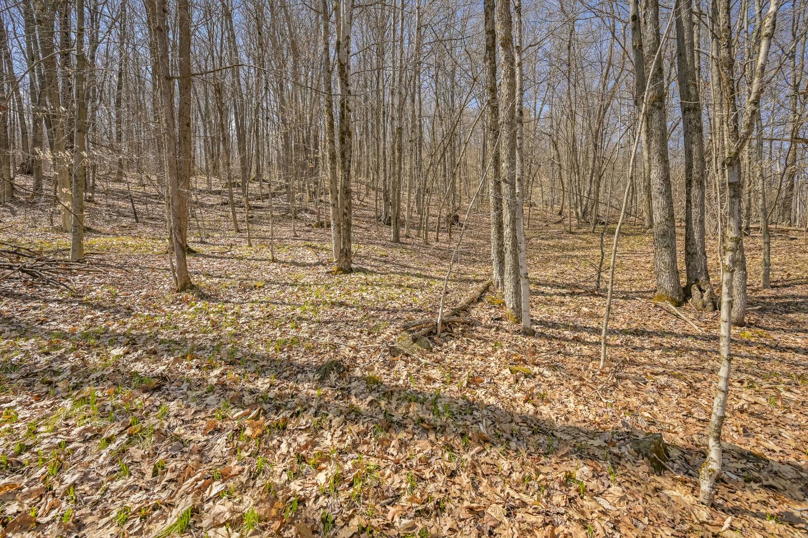 #11 photo, L9.113 Lutheranville Rd, Summit , NY 12175