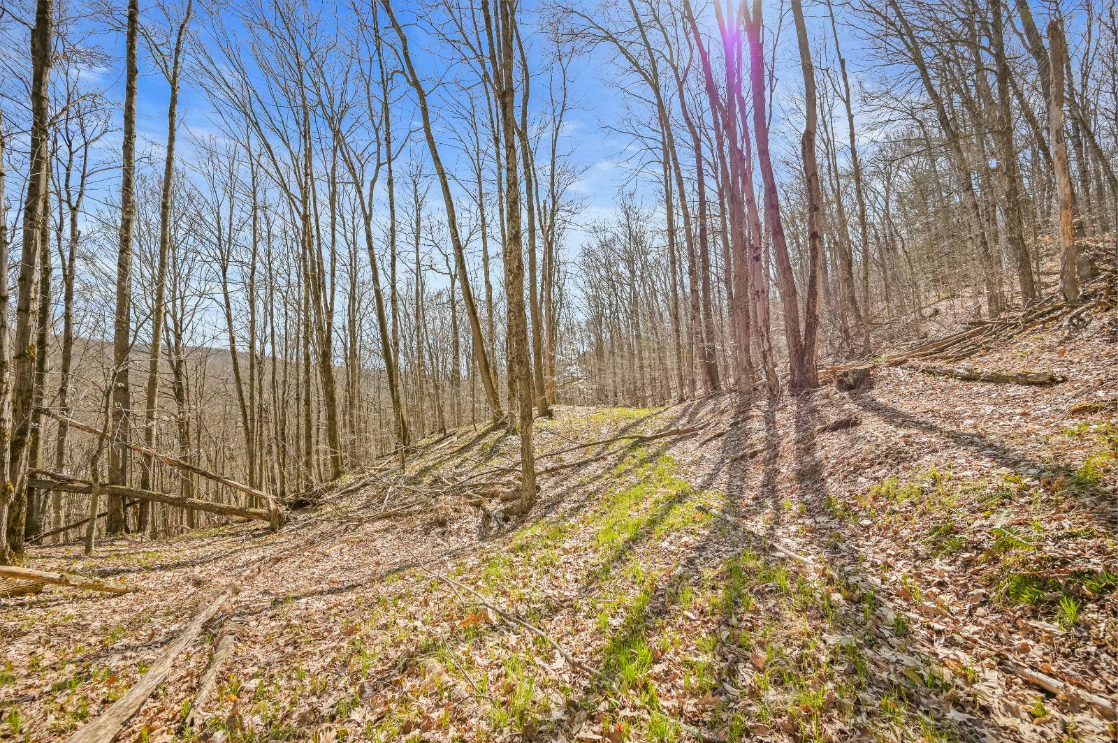 #12 photo, L9.113 Lutheranville Rd, Summit , NY 12175