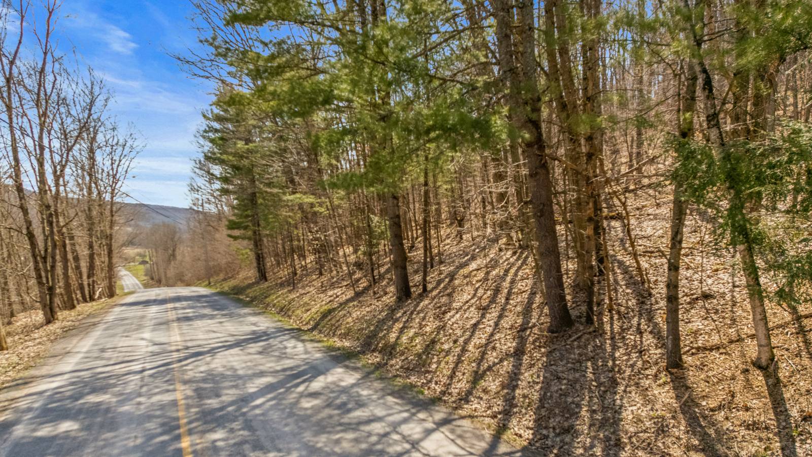 #13 photo, L9.113 Lutheranville Rd, Summit , NY 12175