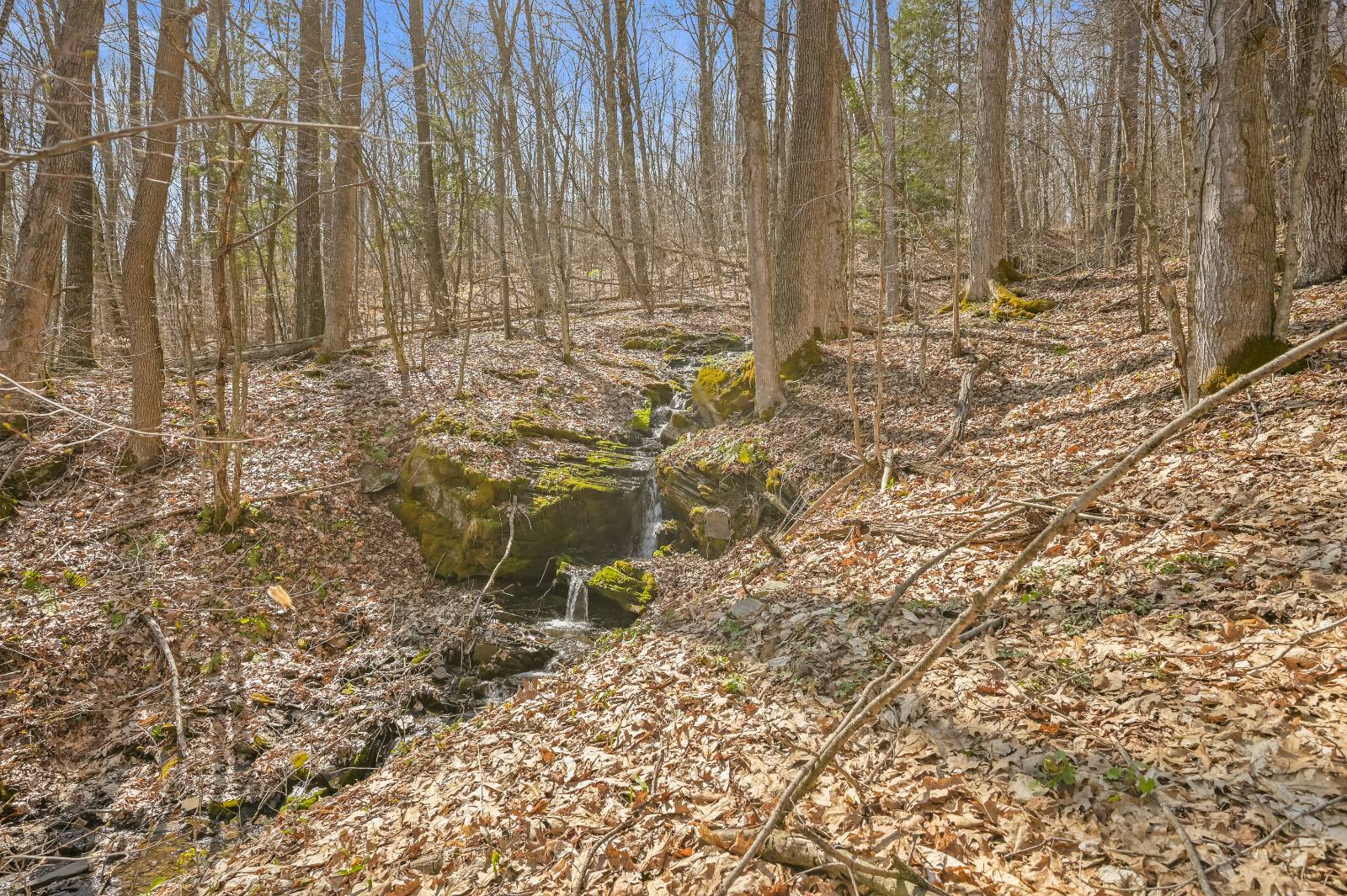 #2 photo, L9.113 Lutheranville Rd, Summit , NY 12175