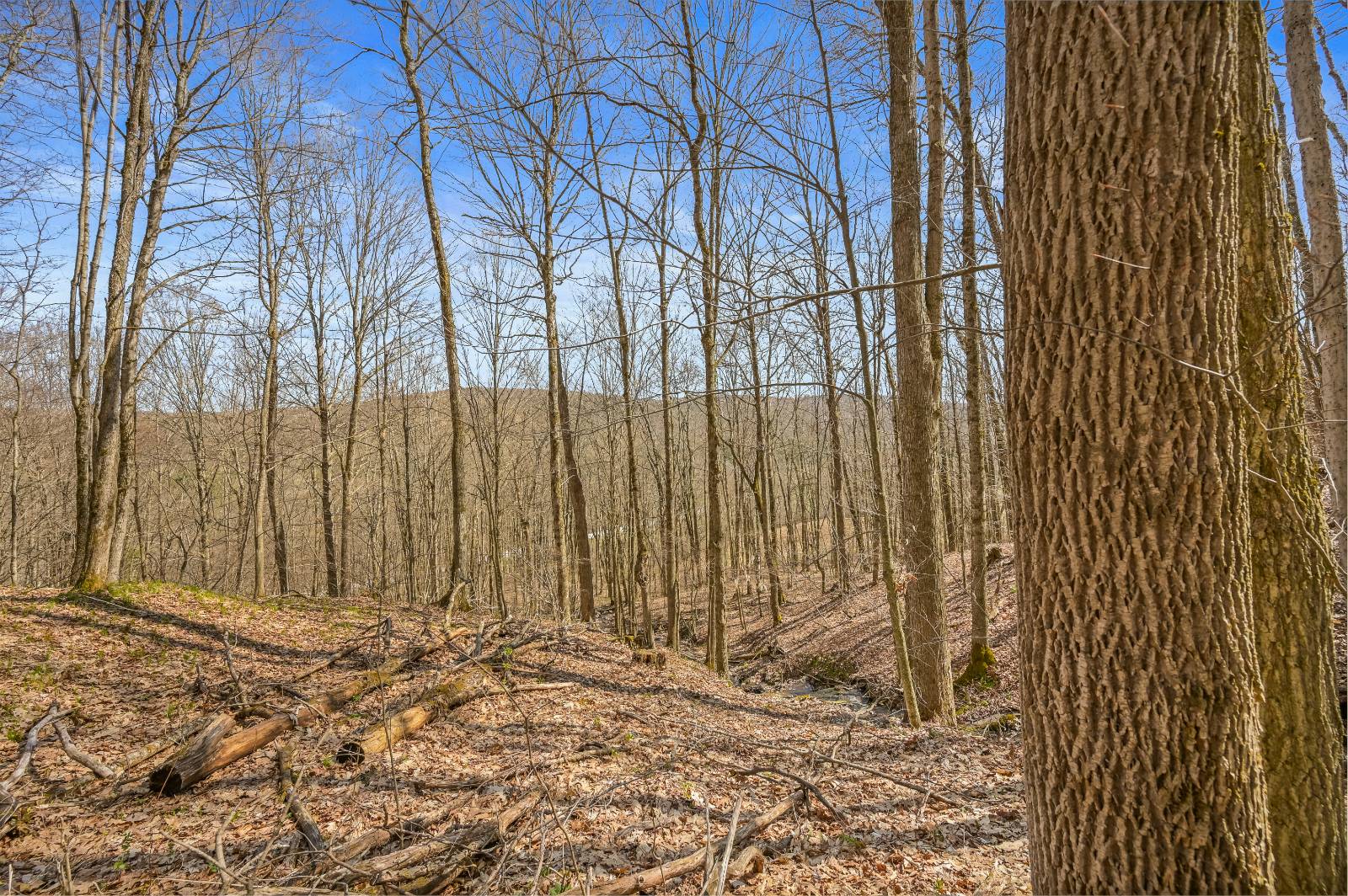 #6 photo, L9.113 Lutheranville Rd, Summit , NY 12175