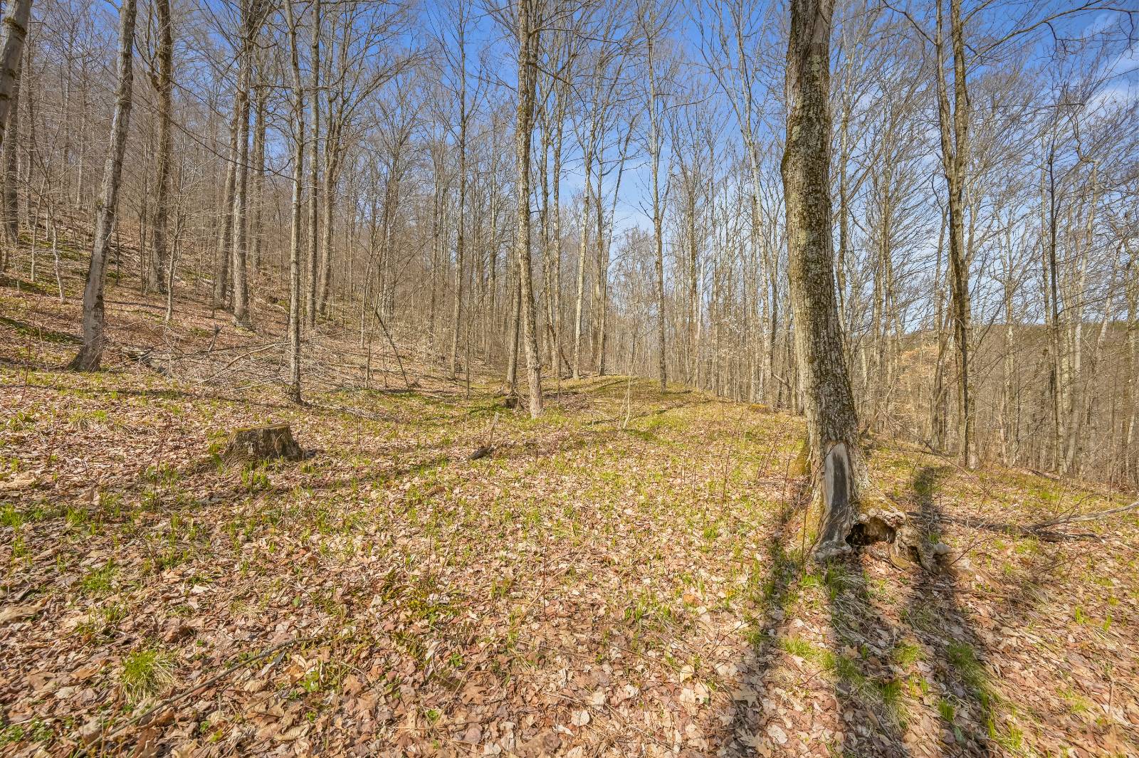 #7 photo, L9.113 Lutheranville Rd, Summit , NY 12175