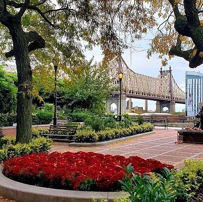 #13 photo, 400 E 56TH Street, マンハッタン Sutton Place , NY 10022