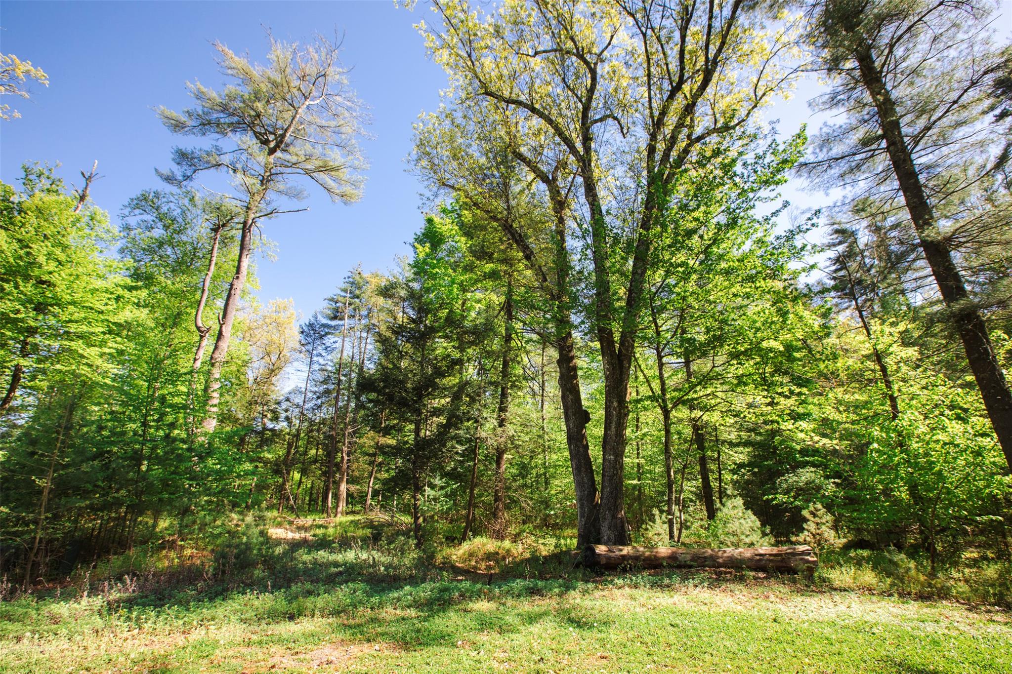 #4 photo, 51 Night Owl Road, Kingston , NY 12401