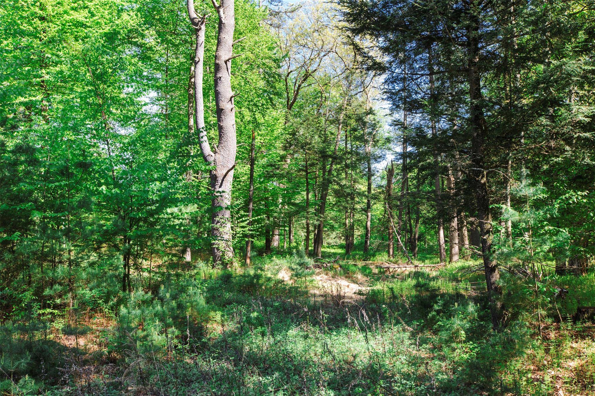 #5 photo, 51 Night Owl Road, Kingston , NY 12401