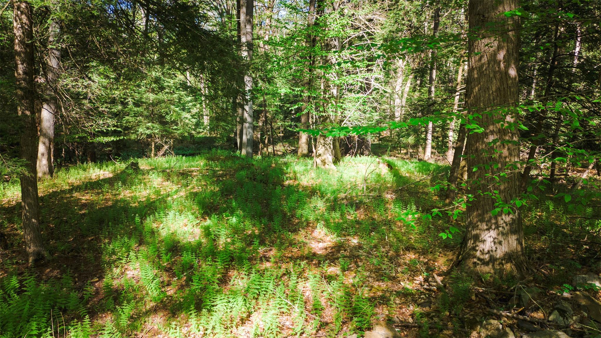 #8 photo, 51 Night Owl Road, Kingston , NY 12401