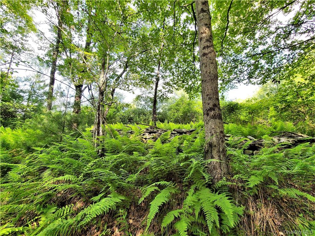 #10 photo, TBD Mitchel Road, White Lake , NY 12786