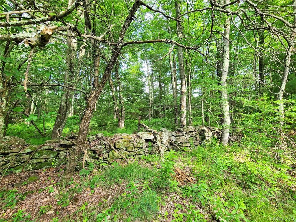 #11 photo, TBD Mitchel Road, White Lake , NY 12786