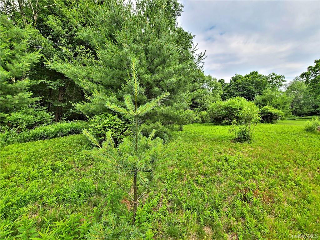 #17 photo, TBD Mitchel Road, White Lake , NY 12786