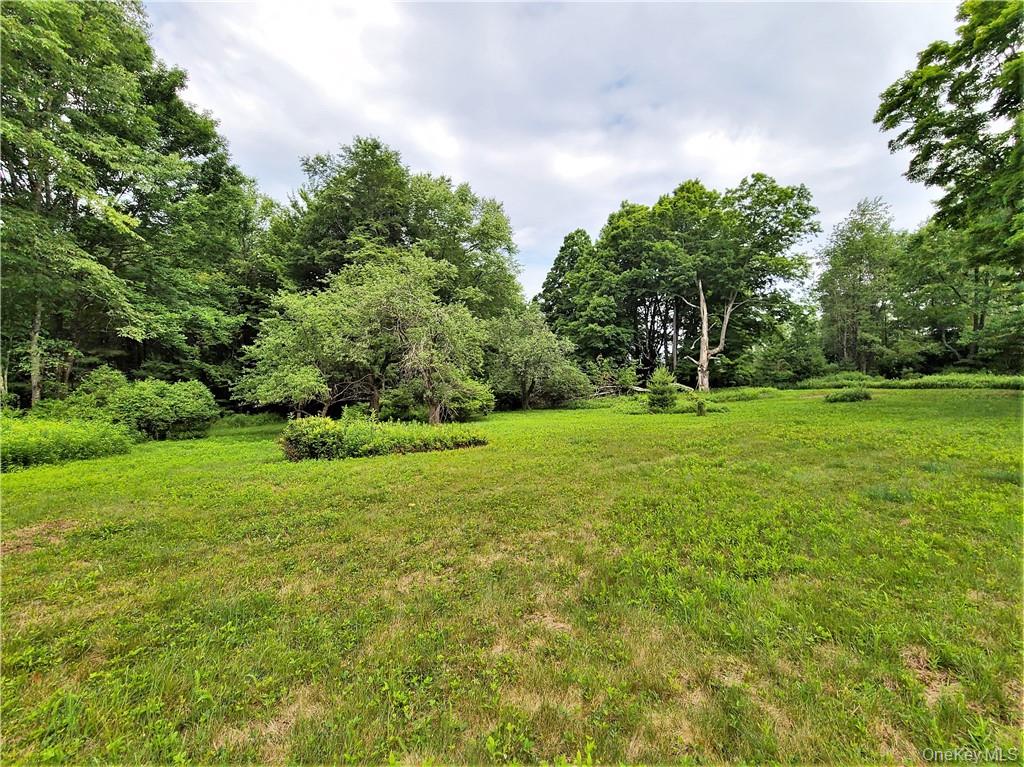 #18 photo, TBD Mitchel Road, White Lake , NY 12786