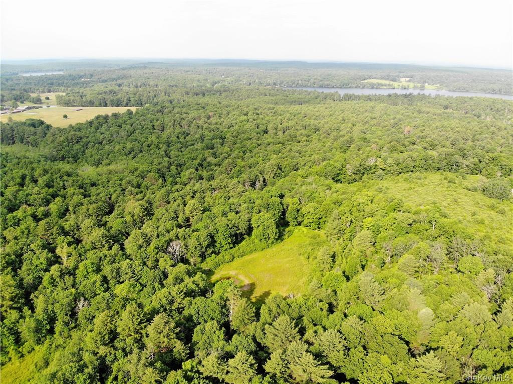 #19 photo, TBD Mitchel Road, White Lake , NY 12786