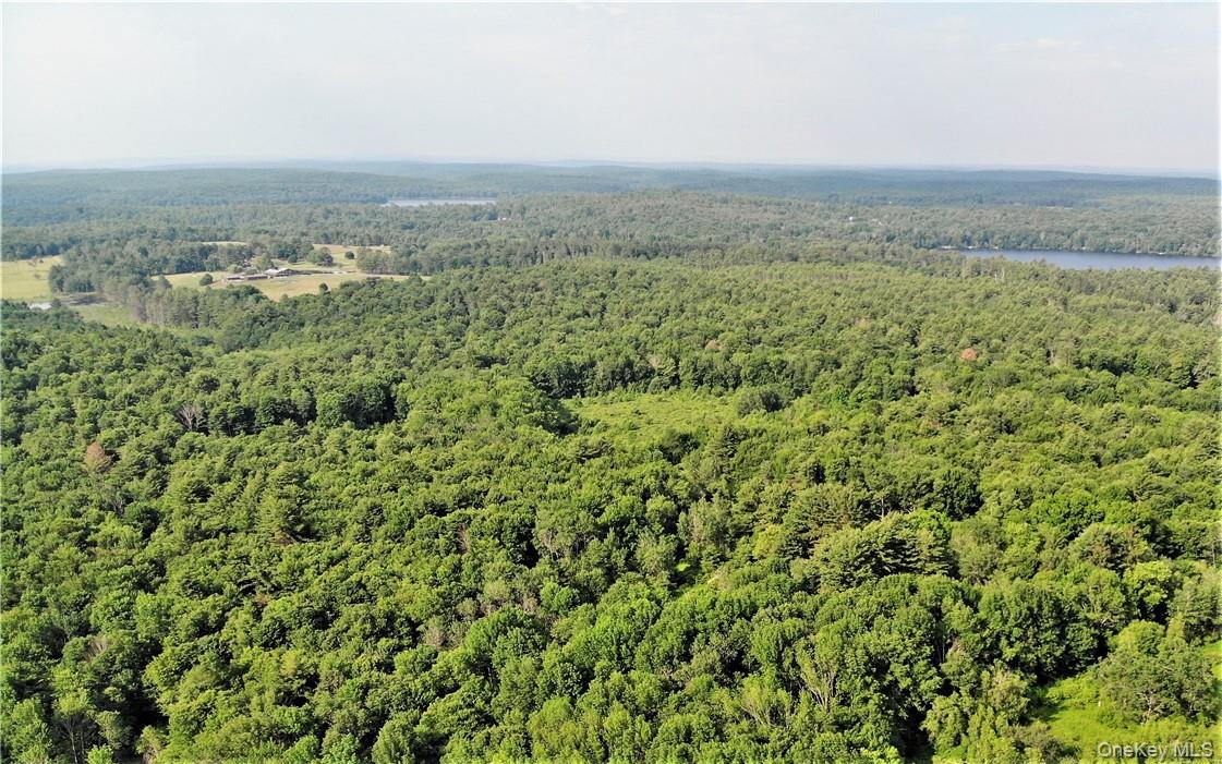 #20 photo, TBD Mitchel Road, White Lake , NY 12786