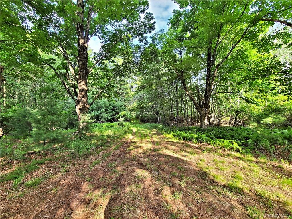 #6 photo, TBD Mitchel Road, White Lake , NY 12786