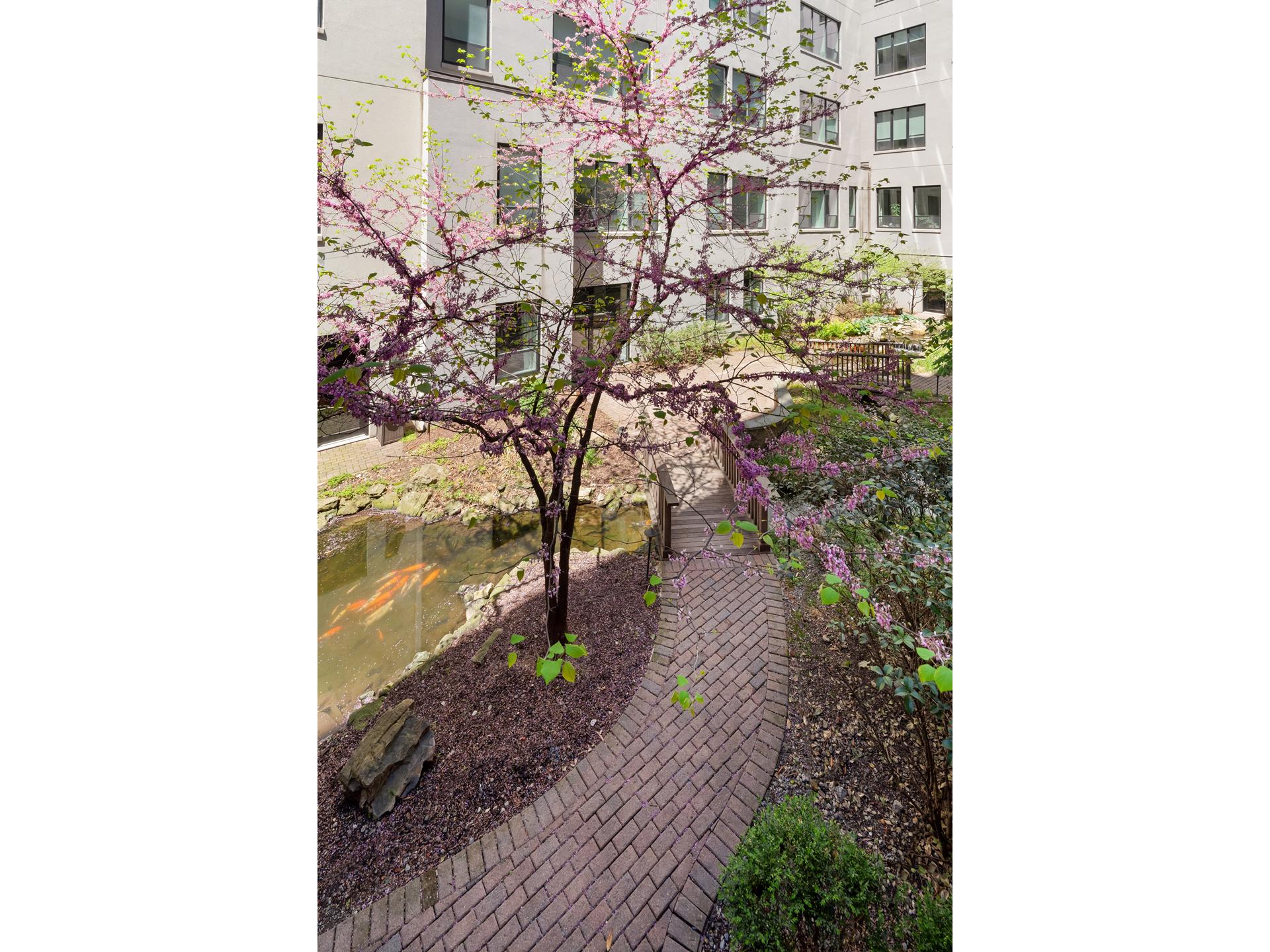 #10 photo, 416 W 52ND Street, マンハッタン Hells Kitchen , NY 10019