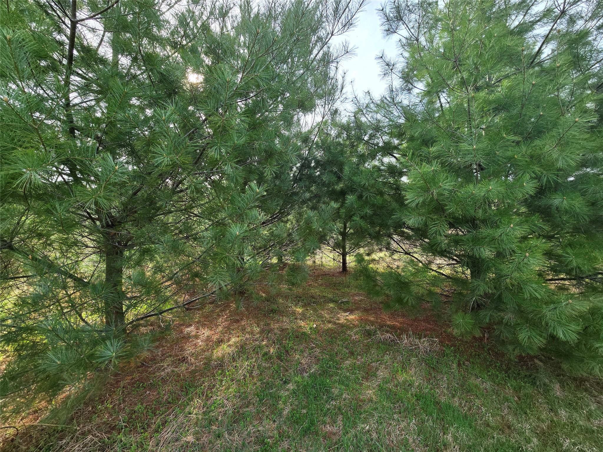 #9 photo, #TBD NYS Route 17B, Monticello , NY 12701