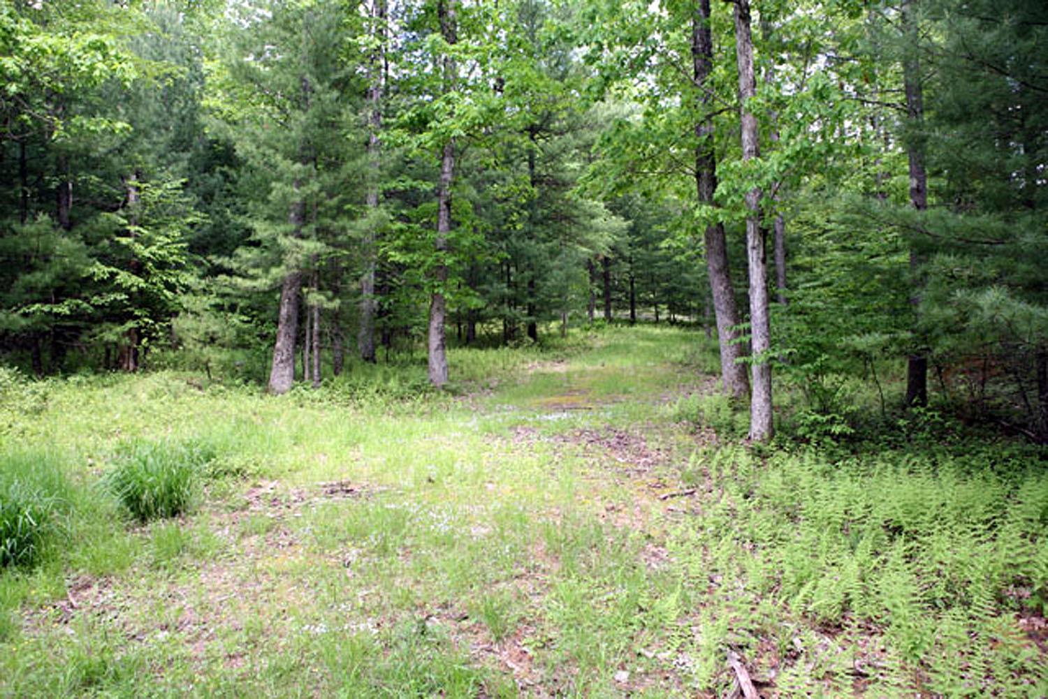 #10 photo, Lot 23 Serenity Drive, Callicoon , NY 12723