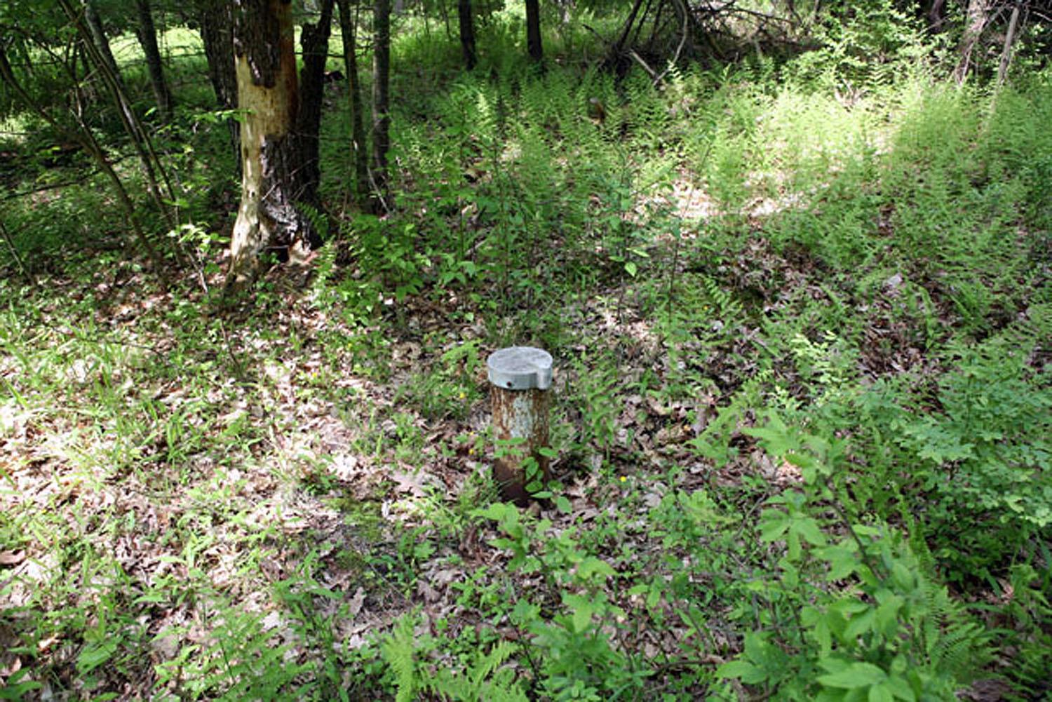 #11 photo, Lot 23 Serenity Drive, Callicoon , NY 12723