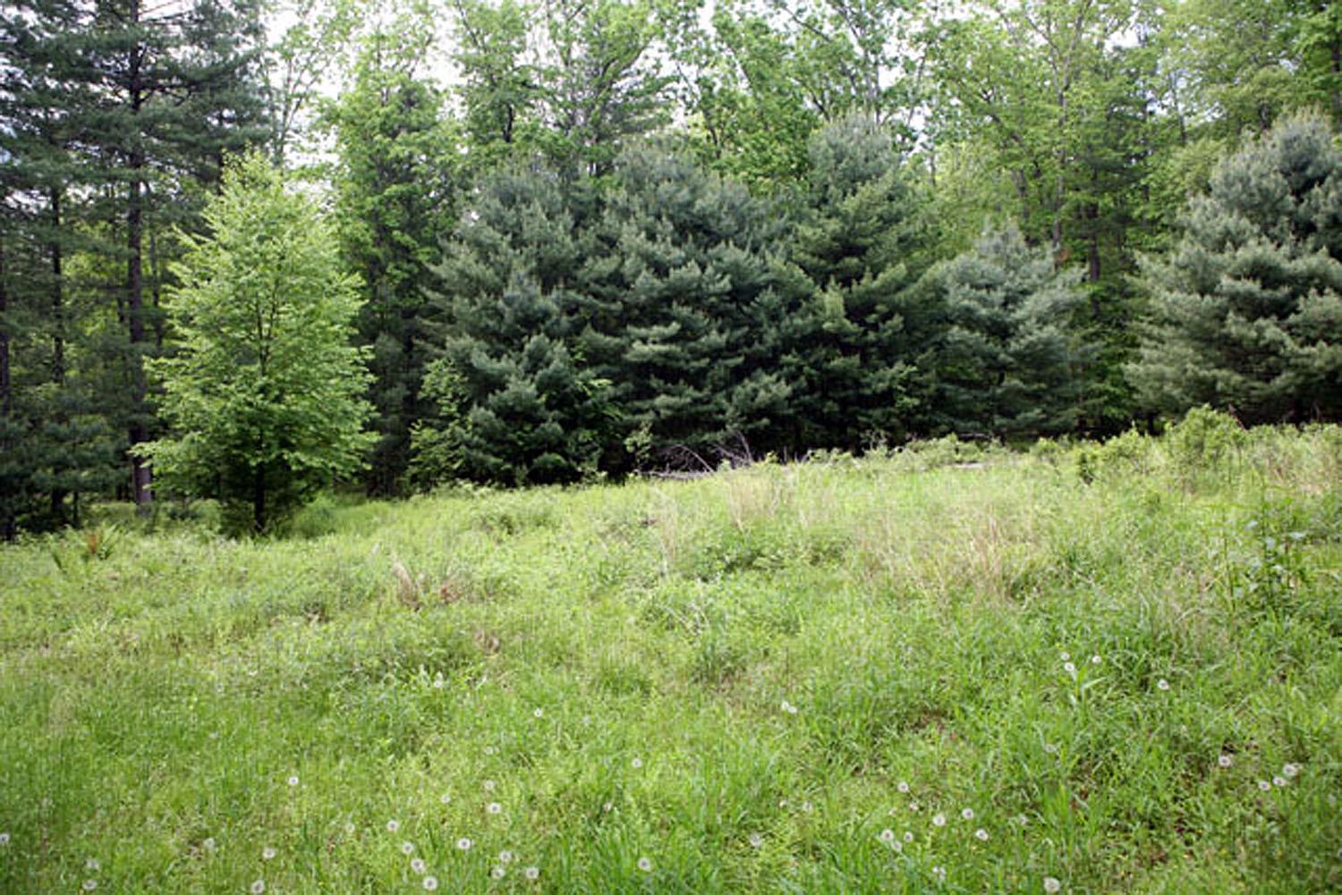 #12 photo, Lot 23 Serenity Drive, Callicoon , NY 12723