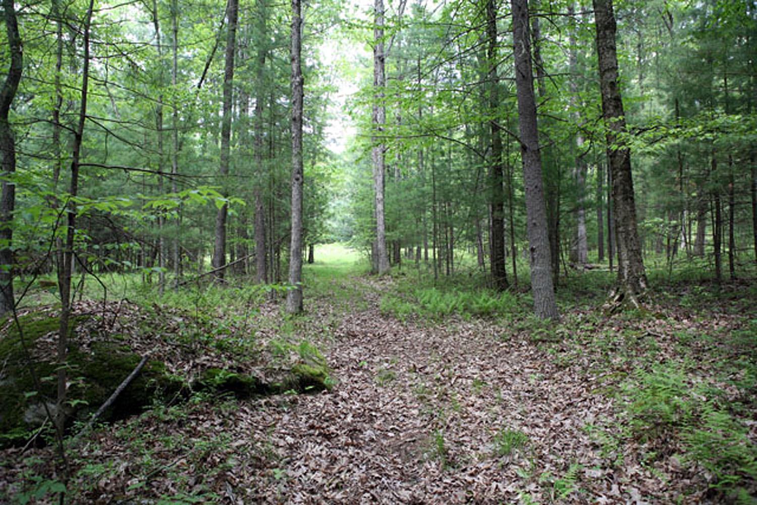 #17 photo, Lot 23 Serenity Drive, Callicoon , NY 12723