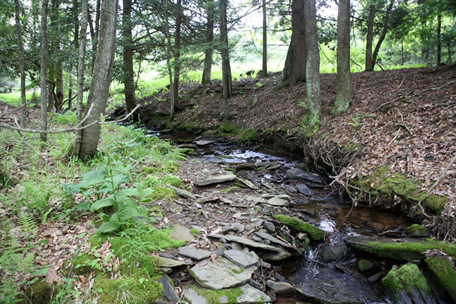 #4 photo, Lot 23 Serenity Drive, Callicoon , NY 12723