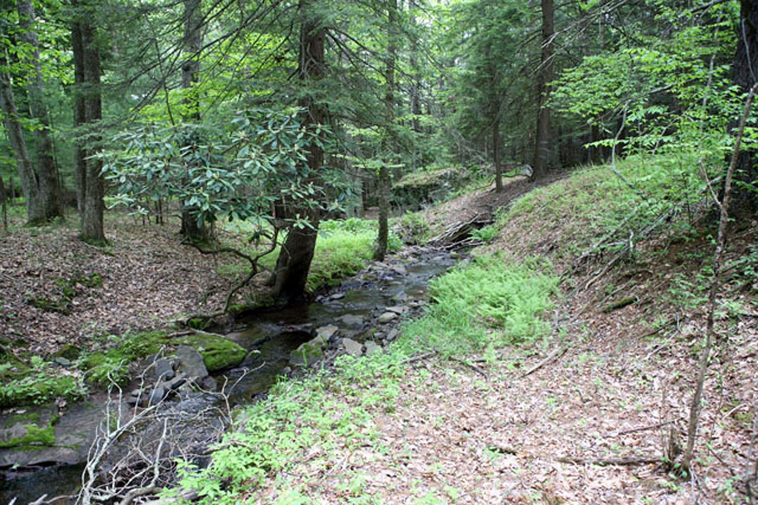 #5 photo, Lot 23 Serenity Drive, Callicoon , NY 12723