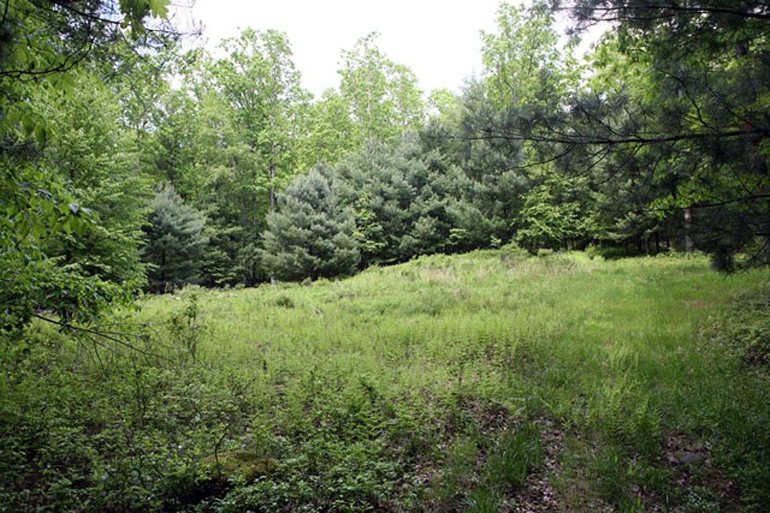 #6 photo, Lot 23 Serenity Drive, Callicoon , NY 12723