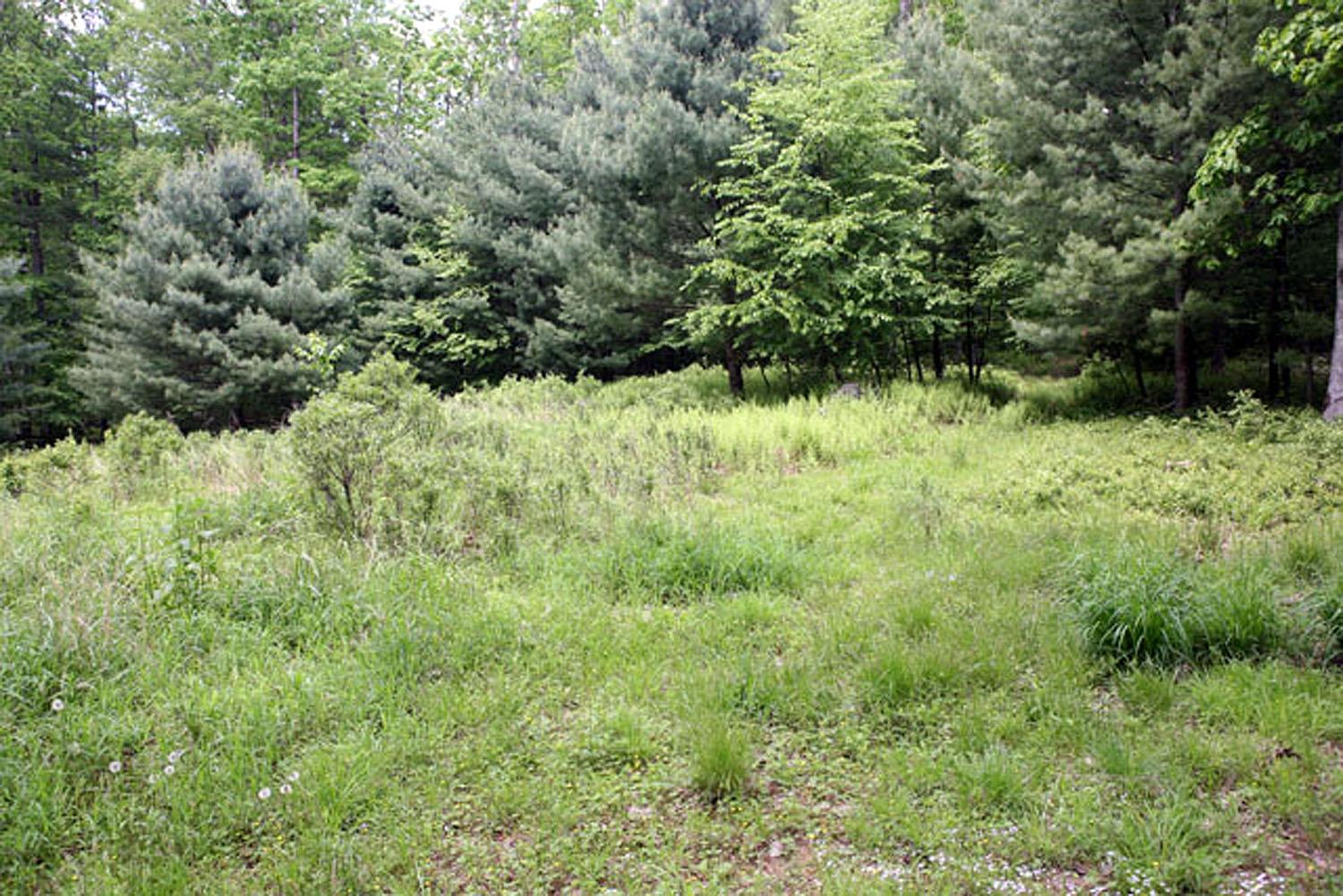 #7 photo, Lot 23 Serenity Drive, Callicoon , NY 12723