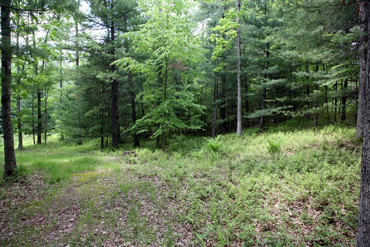 #8 photo, Lot 23 Serenity Drive, Callicoon , NY 12723