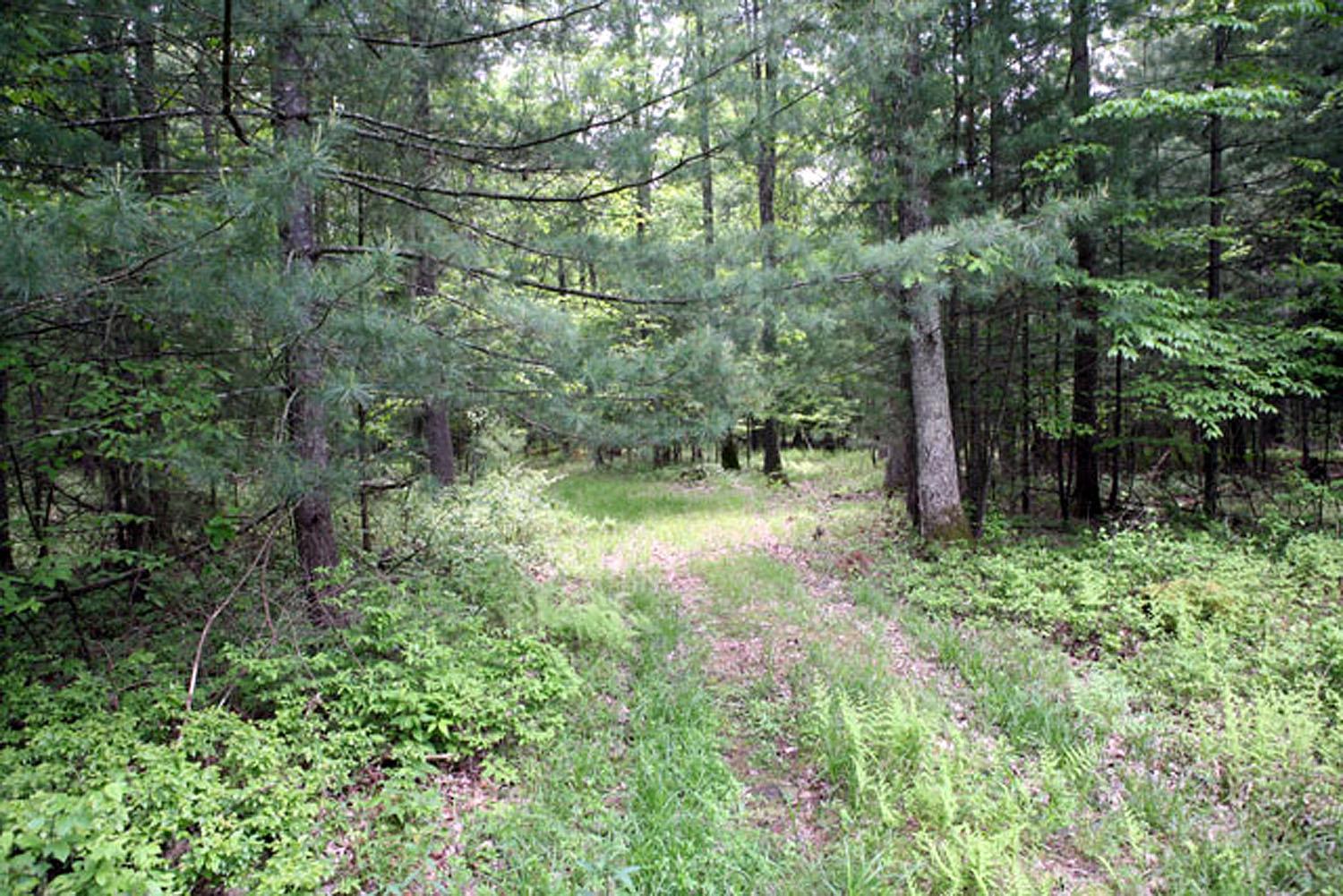 #9 photo, Lot 23 Serenity Drive, Callicoon , NY 12723