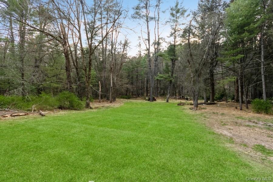 #6 photo, 435 State Route 55, Eldred , NY 12732