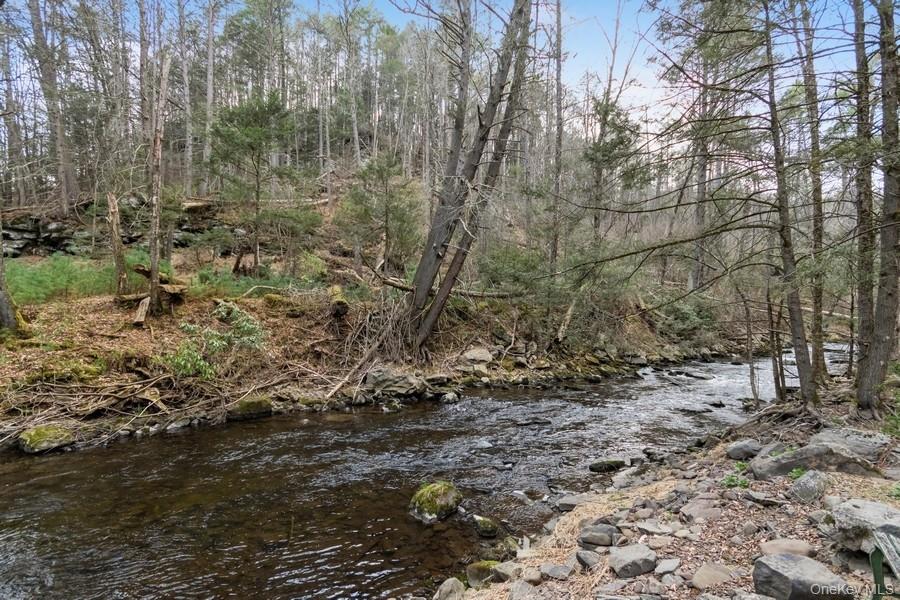 #7 photo, 435 State Route 55, Eldred , NY 12732