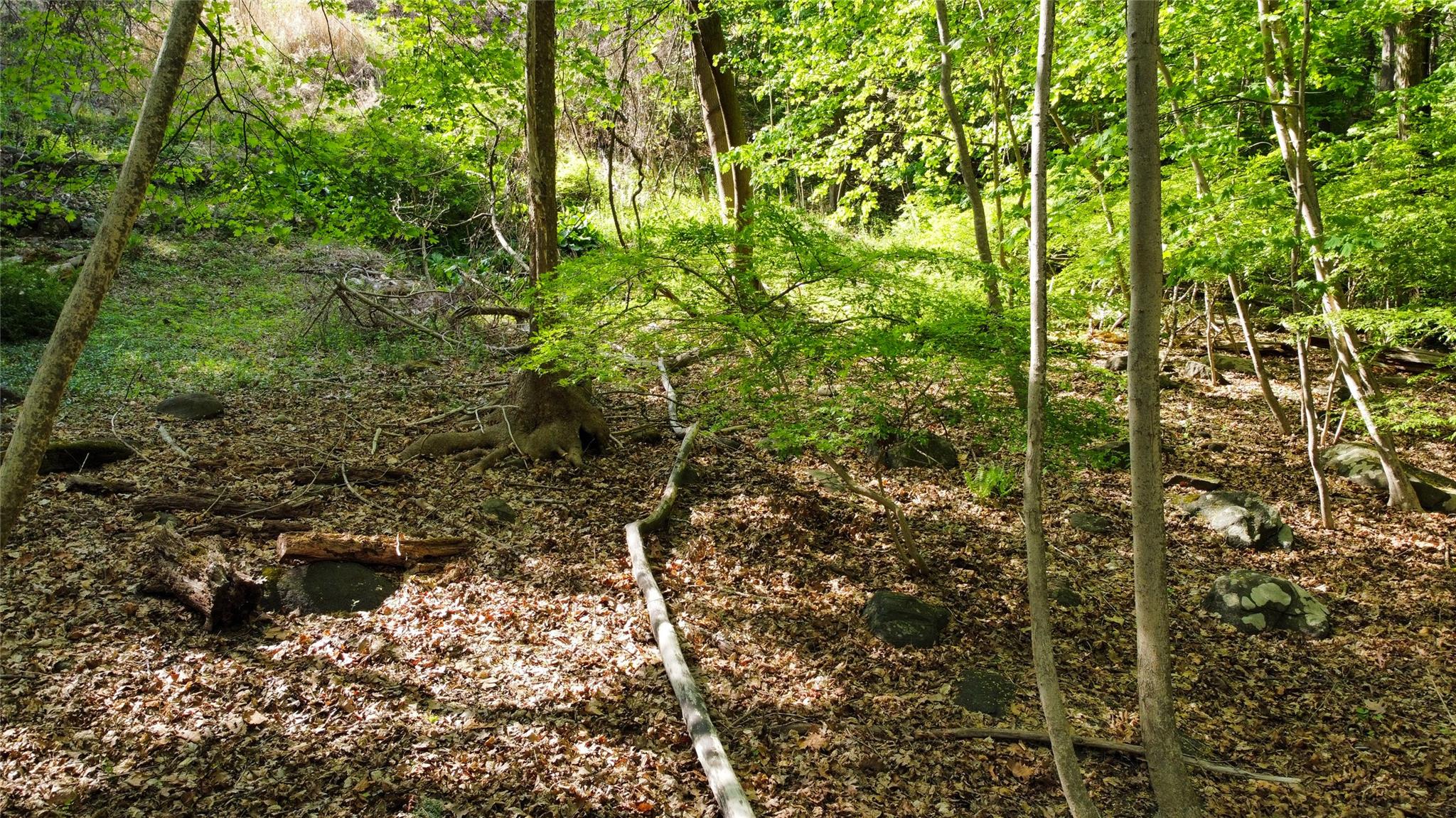 #10 photo, 38 Nordica Drive, Croton-on-Hudson , NY 10520